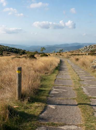 camino de santiago 1